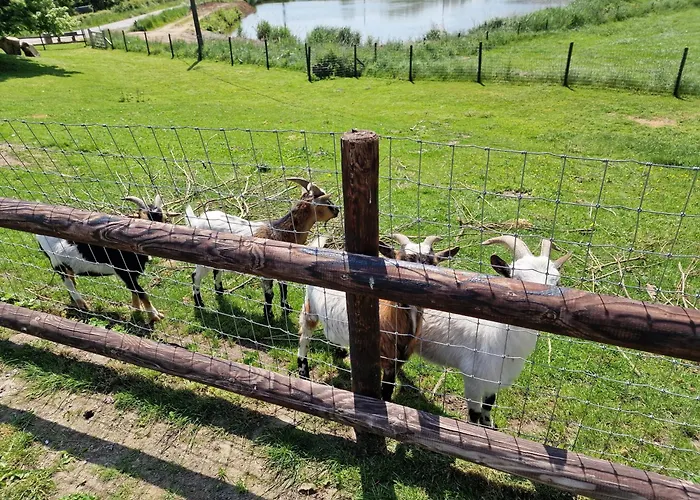 Casa de Férias Eschen